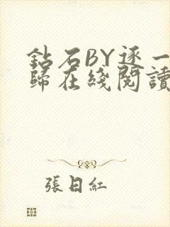 钻石BY逐一而归在线阅读