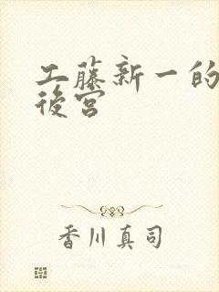 工藤新一的日本后宫