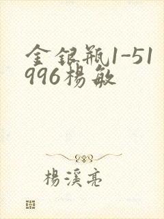 金银瓶1-51996杨敏封面