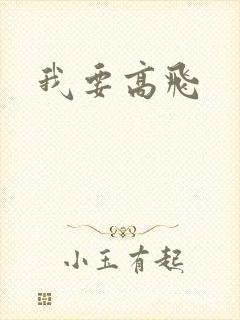 我要高飞封面