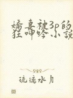 娇妻被3p的疯狂呻吟小说