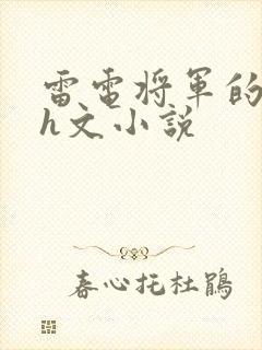 雷电将军的堕落h文小说封面