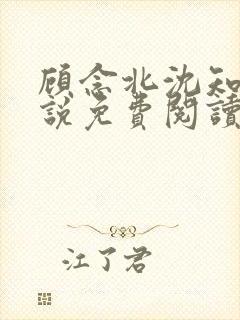 顾念北沈知宁小说免费阅读最新章节封面