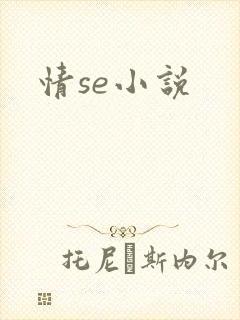 情se小说