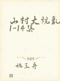 山村大炕乱肉续1-14集封面