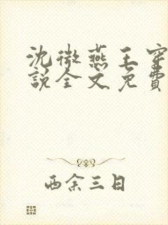 沈微燕王穿越小说全文免费阅读