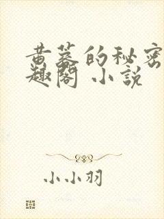 黄蓉的秘密 笔趣阁 小说