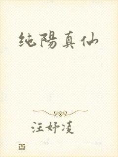 纯阳真仙