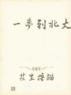 一梦到北大