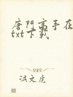 唐门高手在异世txt下载