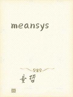 meansys封面