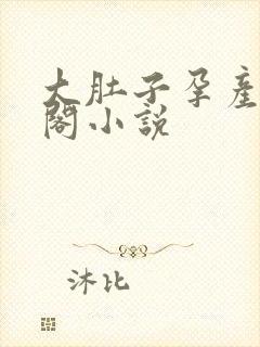 大肚子孕产笔趣阁小说