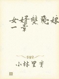 女婿双飞娘俩第一章