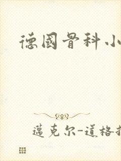 德国骨科小说