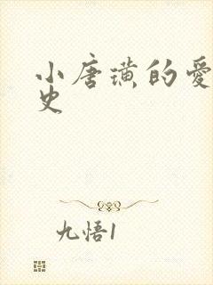 小唐璜的爱情历史