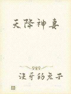 天降神妻