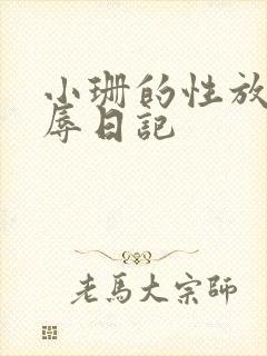 小珊的性放荡羞辱日记封面