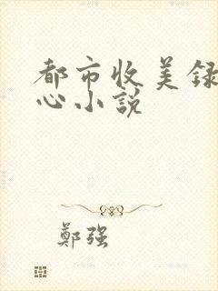 都市收美录宁素心小说封面