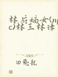 林府嫡女(npc)林玉林璋