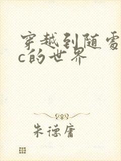 穿越到随处可以c的世界