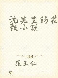 沈先生的花式调教小说