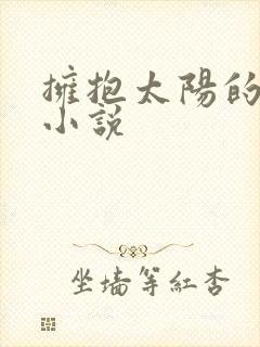 拥抱太阳的月亮小说