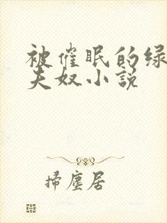 被催眠的绿帽夫夫奴小说封面