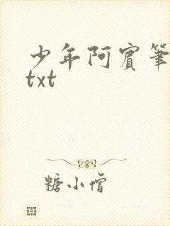 少年阿宾笔趣阁txt