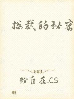 总裁的秘密情人