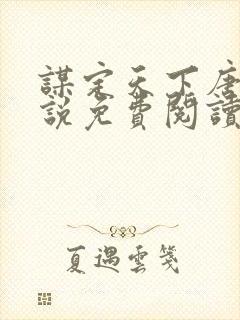 谋定天下唐诚小说免费阅读