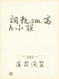 调教,sm,高h小说