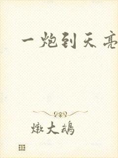 一炮到天亮封面