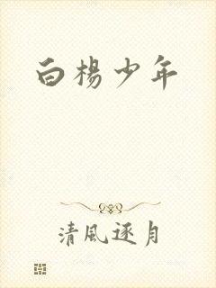 白杨少年
