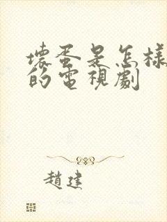 坏蛋是怎样炼成的电视剧封面