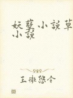妖孽小说草莓酱小说封面