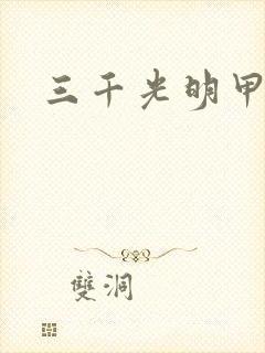 三千光明甲