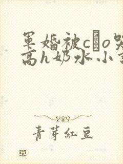 军婚被cαo哭高h奶水小说