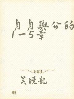 月月与公的激情1一5章