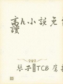 高h小说免费阅读