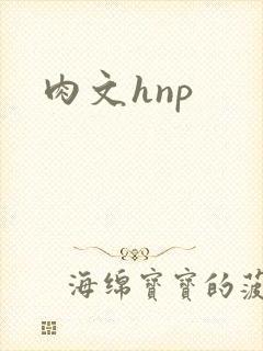 肉文hnp