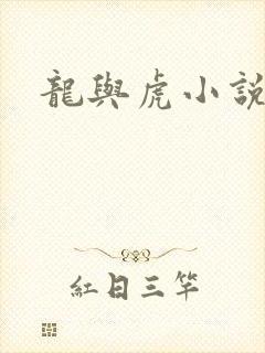 龙与虎小说