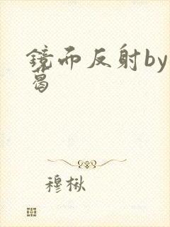 镜面反射by九葛封面