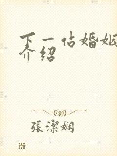 下一站婚姻剧情介绍封面