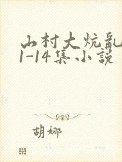 山村大炕乱肉续1-14集小说