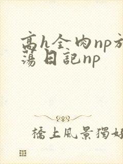 高h全肉np放荡日记np