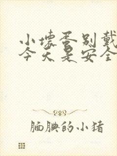 小坏蛋别戴套了今天是安全期封面