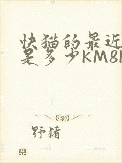 快猫的最近链接是多少KM8KW