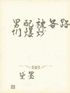 男配被各路大佬们爆炒