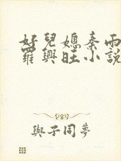 好儿媳秦雨罗明罗兴旺小说