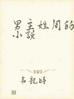 男主姓周的全部小说